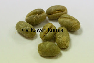 biji kopi peaberry