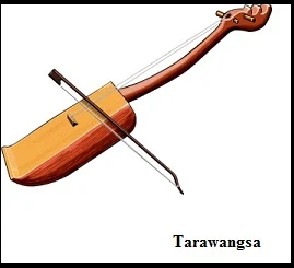 stringed instrument