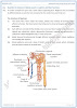 homeostasis-solved-textbook-exercise-biology-10th