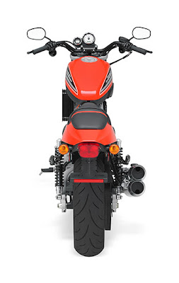 2010 Harley-Davidson XR1200 Rear View