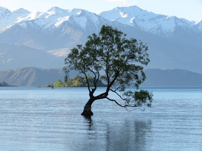 Haast Pass e Wanaka: viagem de motorhome pela Nova Zelândia