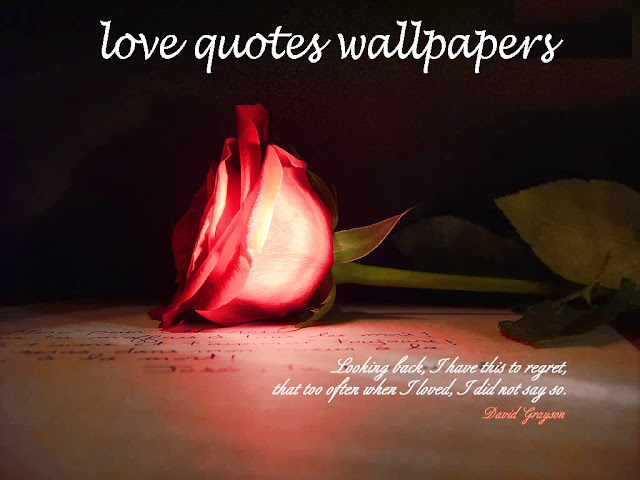 love quotes wallpapers