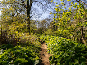 Photo of a pathway through Crow Park