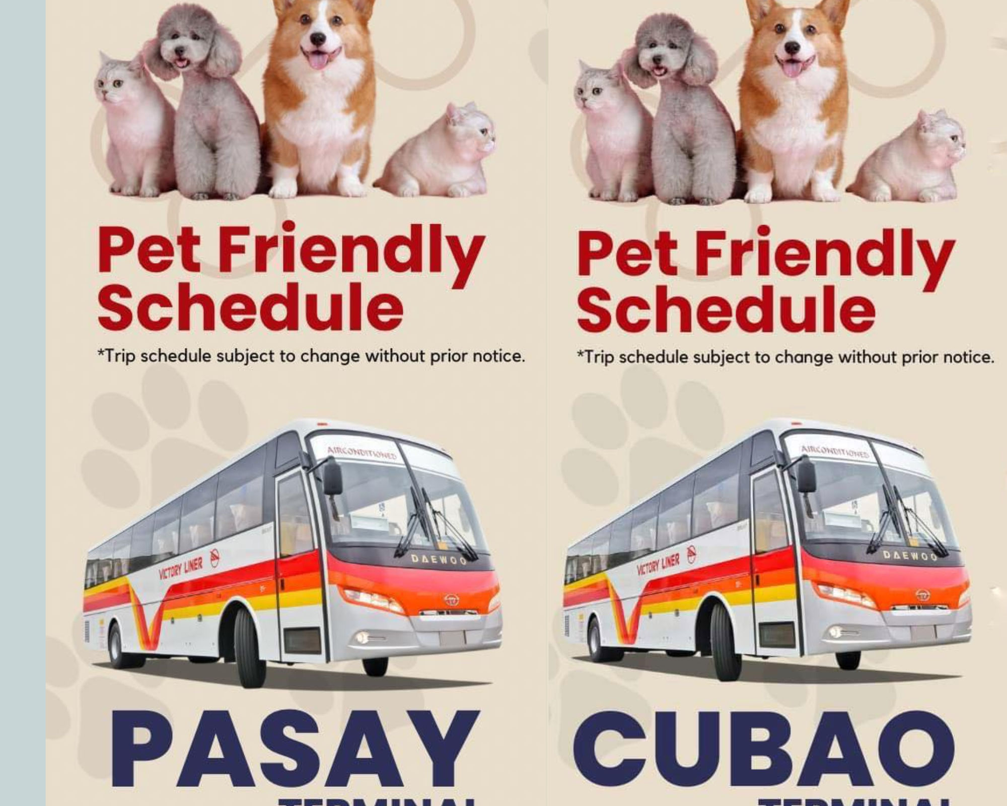victory liner bus pet friendly schedule