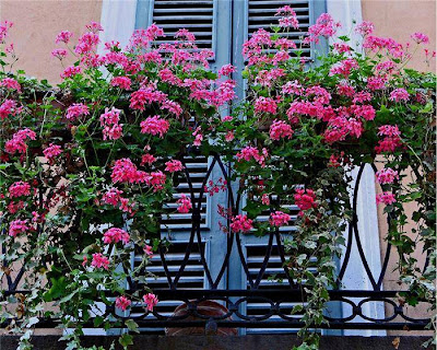 garden balcony