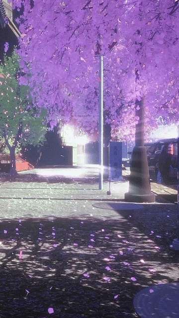 Anime sakura landscape live wallpaper