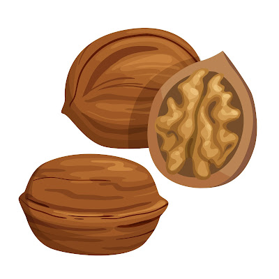 100+ Free Cartoon Images of Walnut dry fruit