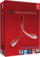 Adobe Acrobat Pro DC | Computer Software
