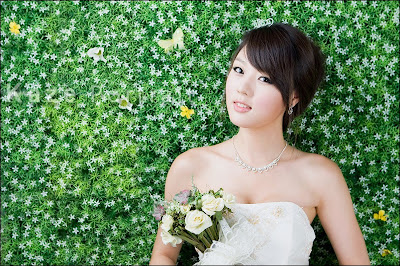 Bridesmaid Dresses Michigan on Wedding Dresses 2009   Hwang Mi Hee             In Wedding Dress  2