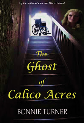 The Ghost of Calico Acres