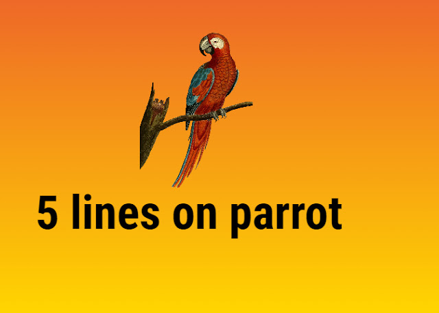 5 Lines on Parrot