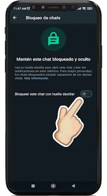 cómo bloquear un chat en WhatsApp en iphone