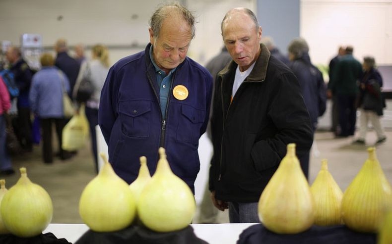 giant-vegetables-7 giant-vegetables-7