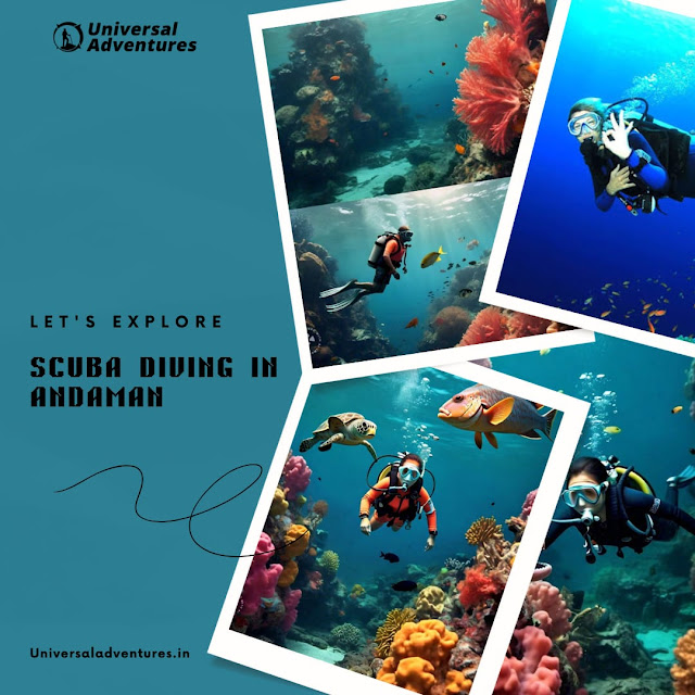 scuba diving in andaman