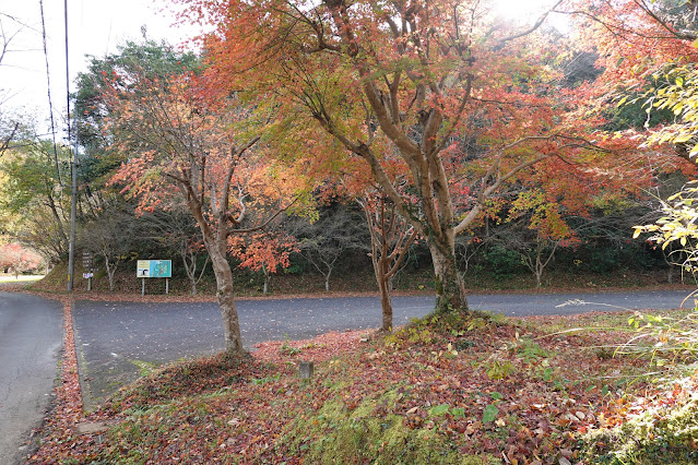 鳥取県西伯郡南部町下中谷 緑水湖 遊歩道