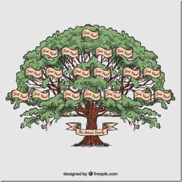 dibujado-a-mano-arbol-genealogico-enrique-antonio-schlegel