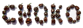 Chocolate habanero chili CHOKO sign