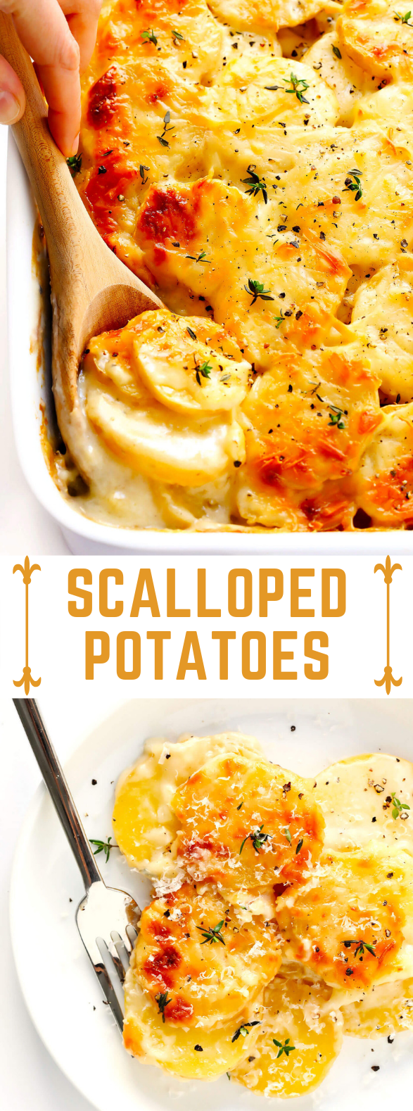 SCALLOPED POTATOES #vegetarian #potato