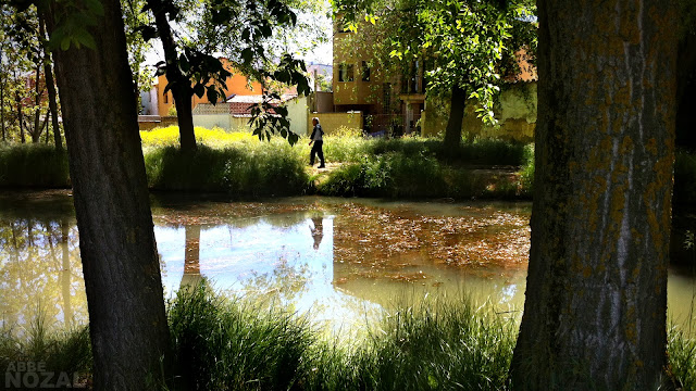 Canal Palencia, 2013 Abbé Nozal