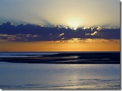 IMG_1325 (640x472)