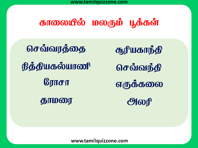 காலையில் பூக்கும் பூக்கள்