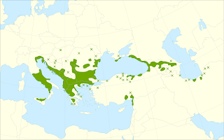 Doğu gürgeni dağılım haritası