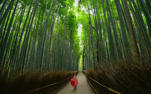 世界の中から日本株を選んで投資する利点とは