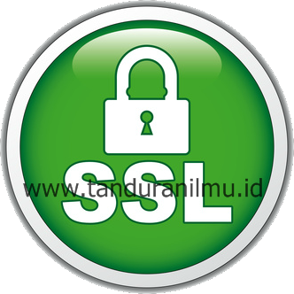 Pengertian dan Fungsi SSL ( Secure Socket Layer )