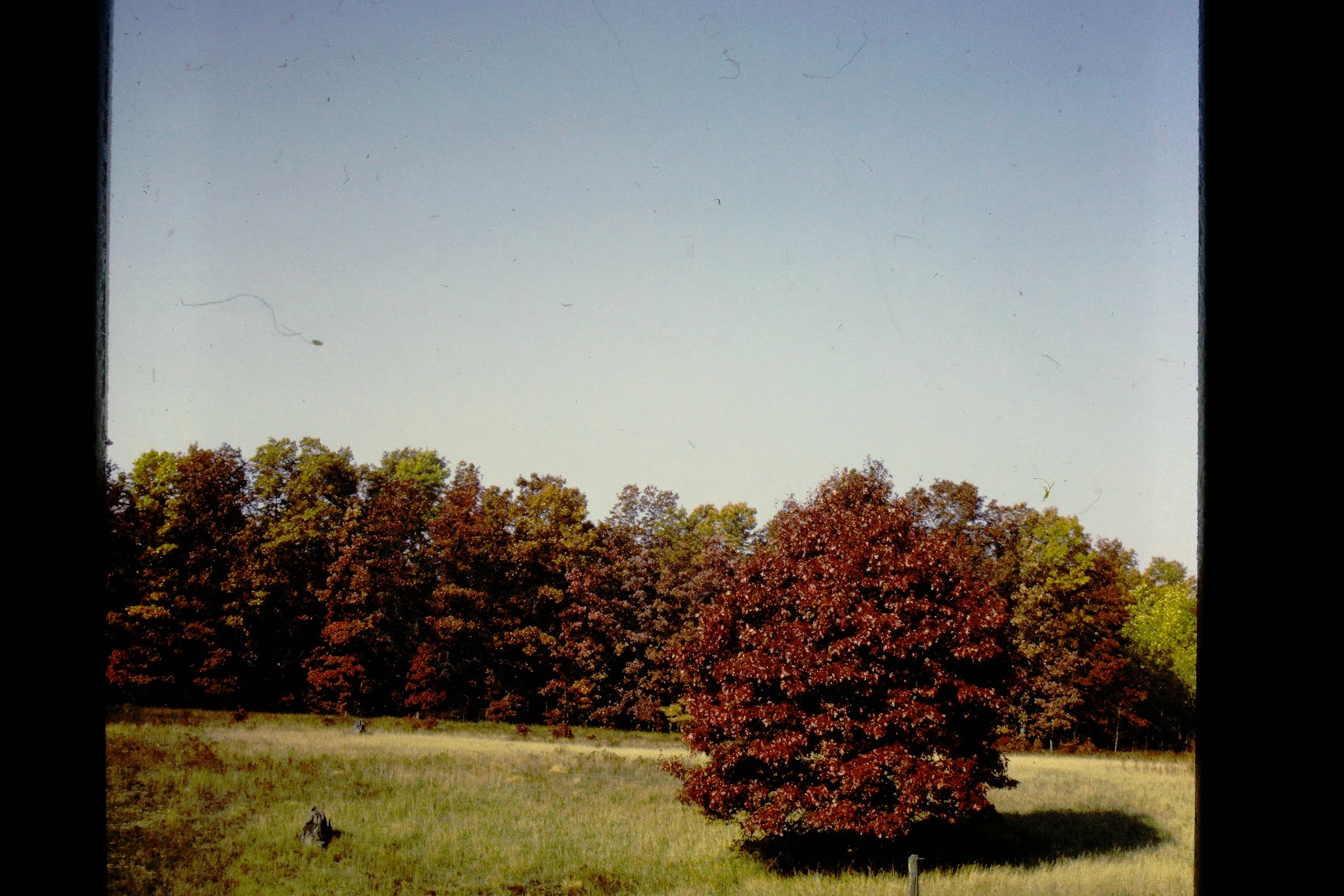 Autumn 1964