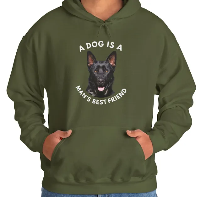 A Hoodie With Huge Working Line German Shepherd Bicolor with Awesome Markings, Strong Bones, Well Developed Chest, Huge Head with Intense Expression