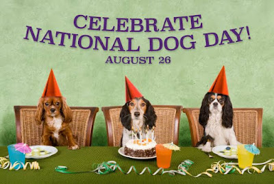 "National Dog Day Bash at Club K9: Celebrating and Supporting the Kentucky Humane Society"