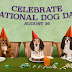 National Dog Day Bash at Club K9: Celebrating and Supporting the Kentucky Humane Society