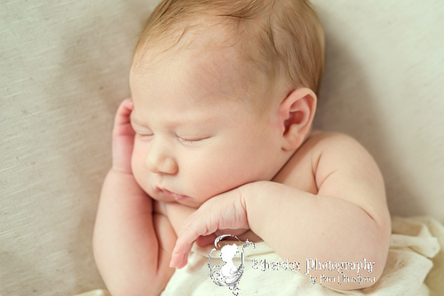 Professional portrait of a newborn baby using a round backdrop stand