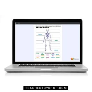 Printable Skeleton for Halloween Science Fun: Exploring Anatomy