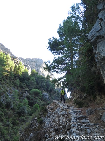 Pinarillo - Navachica - Barranco de los Cazadores