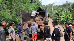 Polres Tanggamus Amankan Dua Truck Berisi 136 Batang Sonokeling Diduga Hasil Pembalakan Liar 