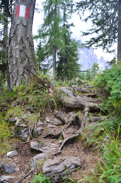 PERCORSO-VERSO-RIFUGIO-TRE-SCARPERI