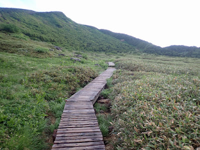 白山 展望歩道