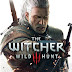 Witcher 3 PC cheats: all the console commands