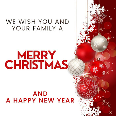 wishing you a merry christmas and a happy new year