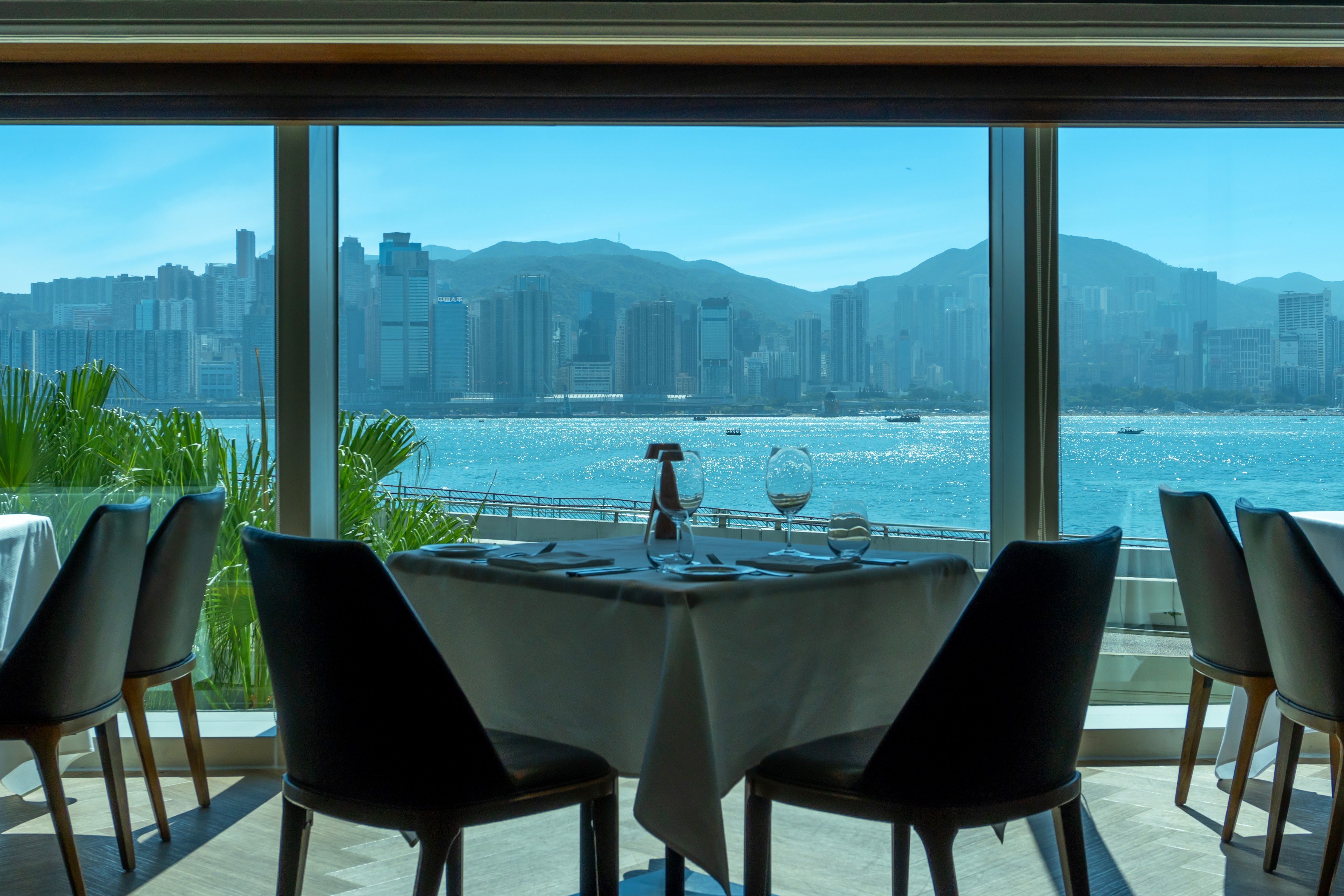 SONATA IN PINK MAJOR HARBOUR VIEW AFTERNOON TEA