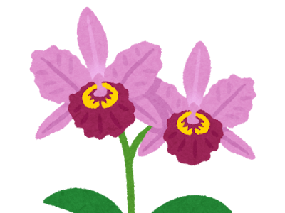 [10000印刷√] 蘭の花 イラスト 340059-蘭の花 イラスト 簡単