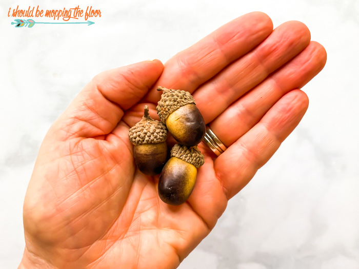 Decorative Acorns