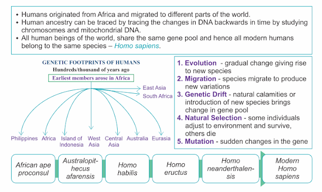 HEREDITY AND EVOLUTION