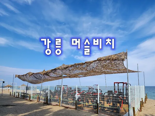 강문해변-모래사장에-설치된-헬스장