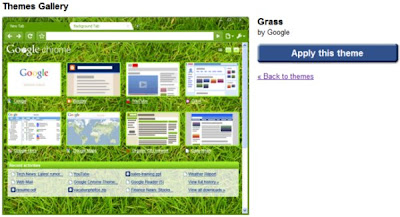 Google Chrome Theme