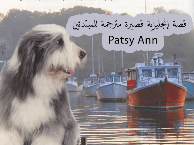 قصة انجليزي قصيرة جدا مترجمة للمبتدئين Patsy Ann