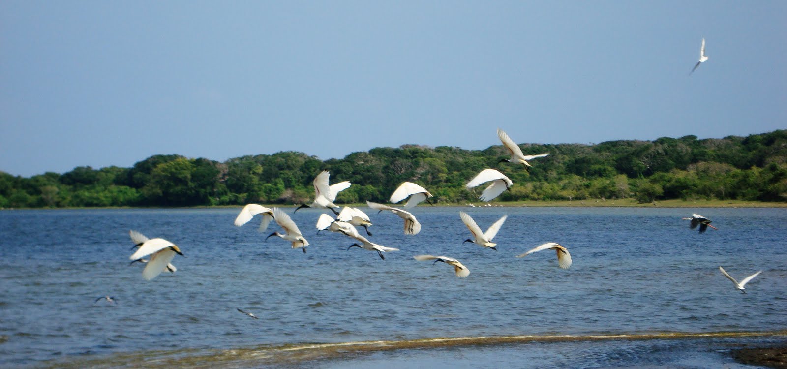 Sri Lanka Nature