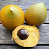 Pouteria Lucuma: The Lesser-Known But Mighty Lulo Fruit