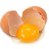 EGG PROTEIN